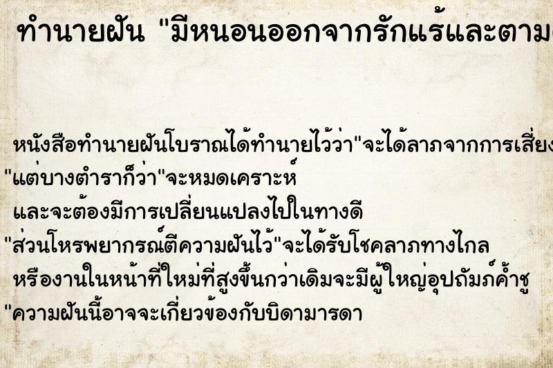 ทำนายฝันมีหนอนออกจากรักแร้และตามตัว ทำนายฝันทำนายฝันมีหนอนออกจากรักแร้และตามตัว