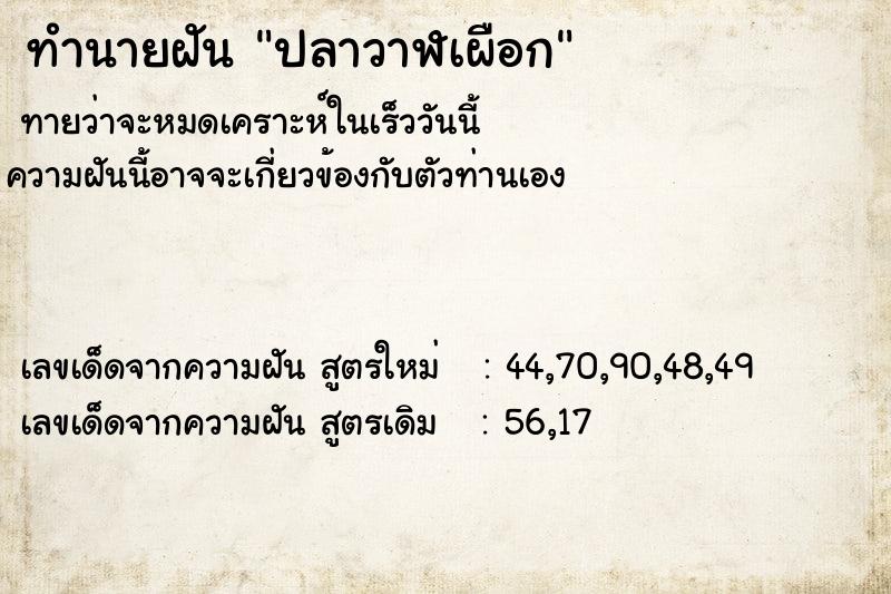 ทำนายฝันปลาวาฬเผือก ทำนายฝันทำนายฝันปลาวาฬเผือก