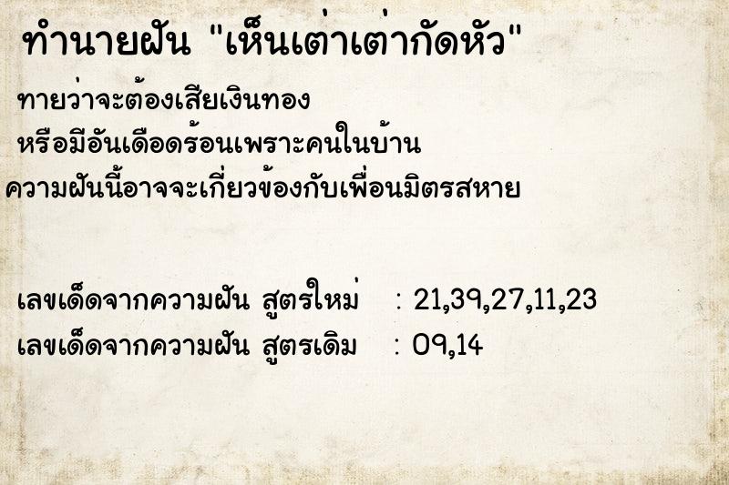 ทำนายฝัน เห็นเต่าเต่ากัดหัว