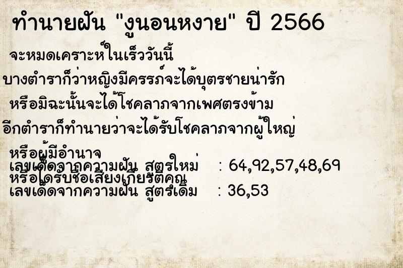 ทำนายฝัน งูนอนหงาย ทำนายฝัน งูนอนหงาย