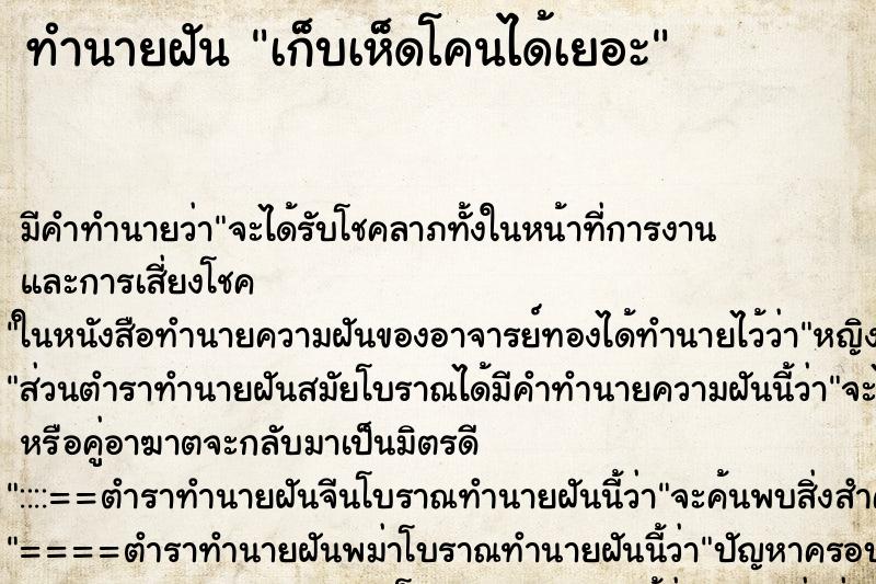 ทำนายฝันเก็บเห็ดโคนได้เยอะ ทำนายฝันทำนายฝันเก็บเห็ดโคนได้เยอะ