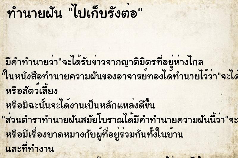 ทำนายฝันไปเก็บรังต่อ ทำนายฝันทำนายฝันไปเก็บรังต่อ