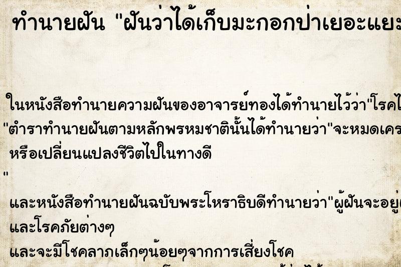 ทำนายฝันฝันว่าได้เก็บมะกอกป่าเยอะแยะ ทำนายฝันทำนายฝันฝันว่าได้เก็บมะกอกป่าเยอะแยะ