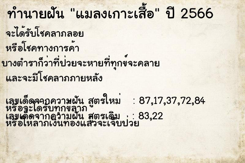 ทำนายฝัน แมลงเกาะเสื้อแม่นๆ ฟรี ด้วยตำราหนังสือทำนายฝันโบราณ ทำนายฝันแมลงเกาะเสื้อ