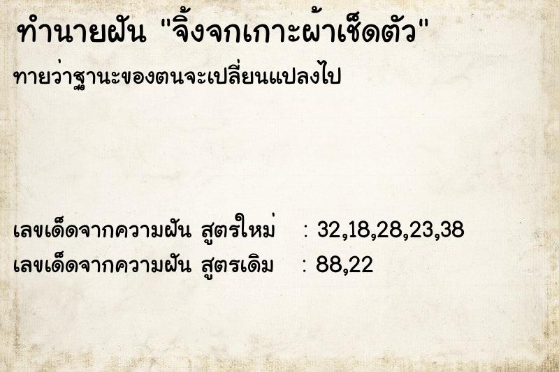ทำนายฝัน จิ้งจกเกาะผ้าเช็ดตัว