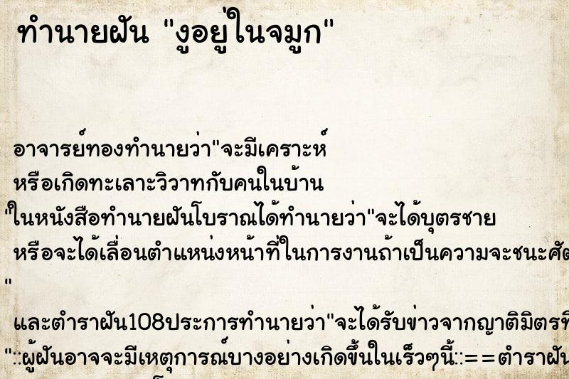 ทำนายฝัน งูอยู่ในจมูก ทำนายฝัน งูอยู่ในจมูก