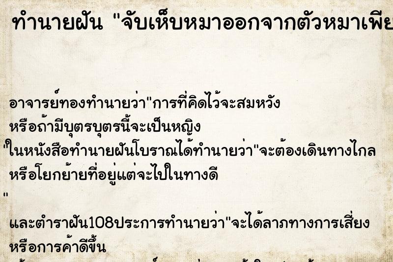 ทำนายฝัน จับเห็บหมาออกจากตัวหมาเพียบเลย ตำราโบราณ แม่นที่สุดในโลก