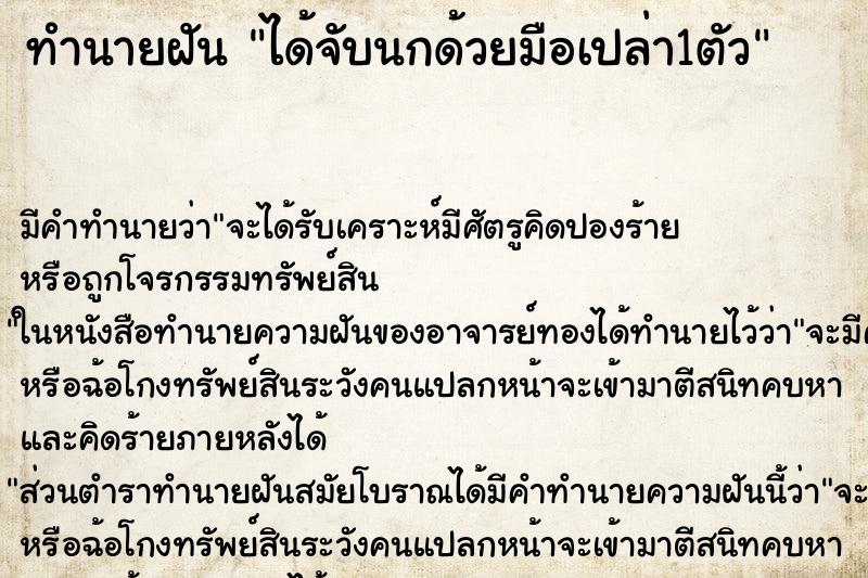 ทำนายฝัน ได้จับนกด้วยมือเปล่า1ตัว ตำราโบราณ แม่นที่สุดในโลก