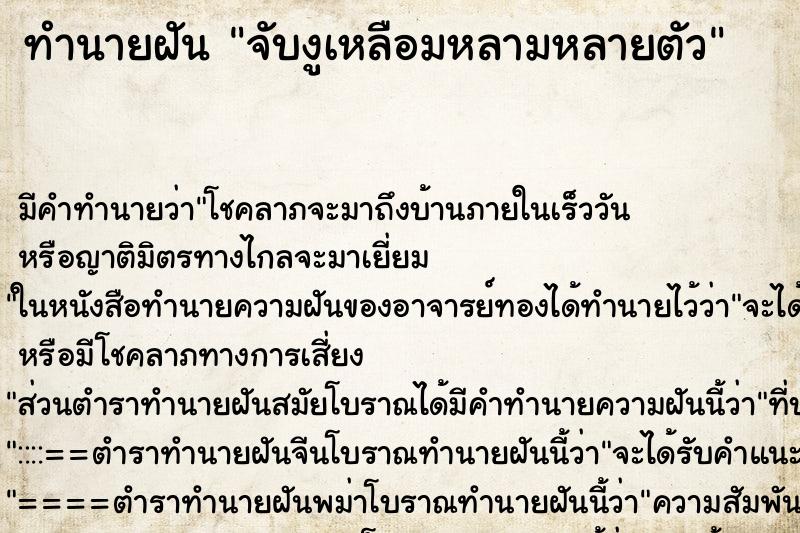 ทำนายฝันทำนายฝันจับงูเหลือมหลามหลายตัว