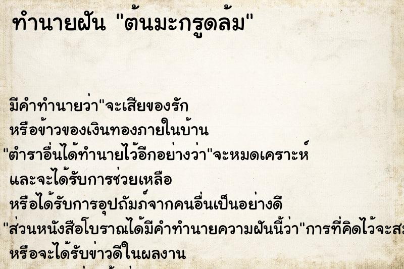 ทำนายฝันต้นมะกรูดล้ม ทำนายฝันทำนายฝันต้นมะกรูดล้ม