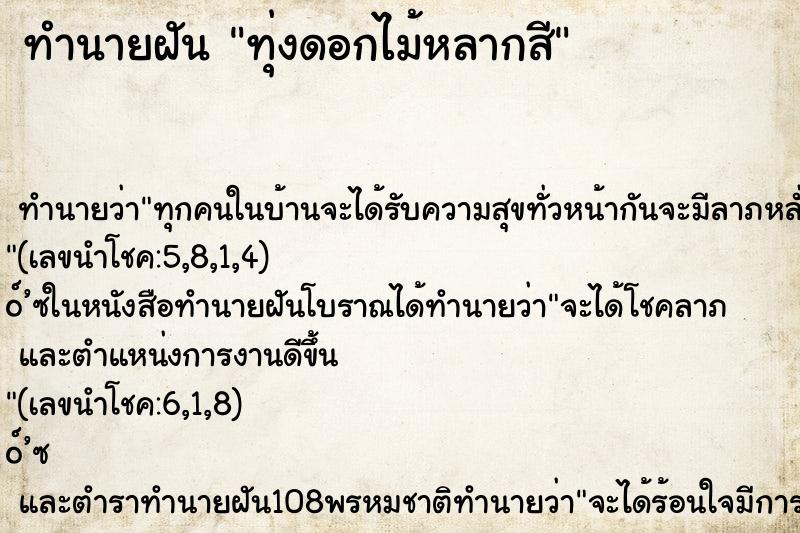 ทำนายฝัน ทุ่งดอกไม้หลากสี ทำนายฝัน ทุ่งดอกไม้หลากสี