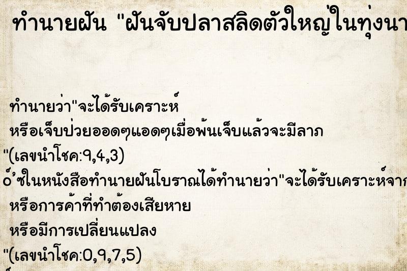 ทำนายฝัน ฝันจับปลาสลิดตัวใหญ่ในทุ่งนาหลายตัว ทำนายฝัน ฝันจับปลาสลิดตัวใหญ่ในทุ่งนาหลายตัว