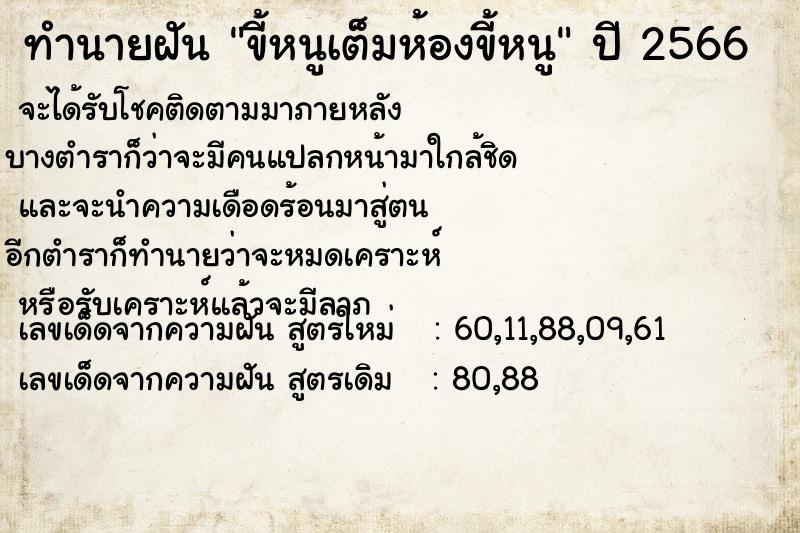 ทำนายฝัน ขี้หนูเต็มห้องขี้หนู ทำนายฝัน ขี้หนูเต็มห้องขี้หนู