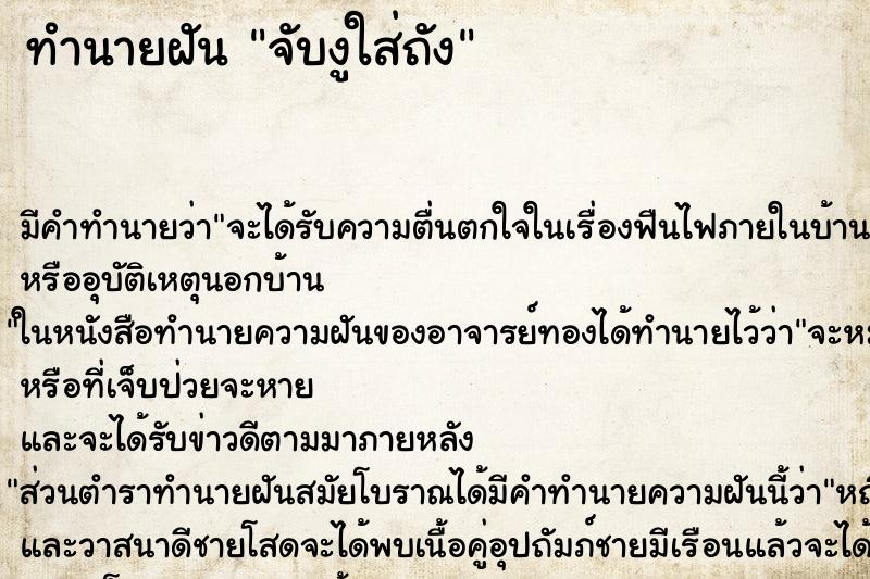 ทำนายฝัน จับงูใส่ถัง ทำนายฝัน จับงูใส่ถัง
