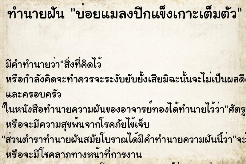ทำนายฝันบ่อยแมลงปีกแข็งเกาะเต็มตัว ทำนายฝันทำนายฝันบ่อยแมลงปีกแข็งเกาะเต็มตัว