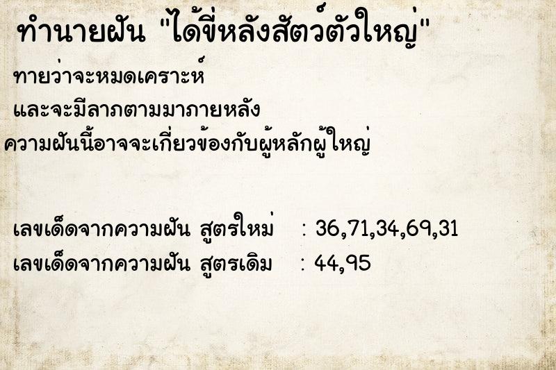 ทำนายฝัน ได้ขี่หลังสัตว์ตัวใหญ่ ทำนายฝัน ได้ขี่หลังสัตว์ตัวใหญ่