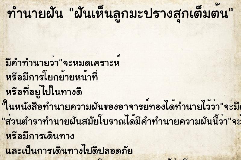 ทำนายฝัน ฝันเห็นลูกมะปรางสุกเต็มต้น ทำนายฝัน ฝันเห็นลูกมะปรางสุกเต็มต้น