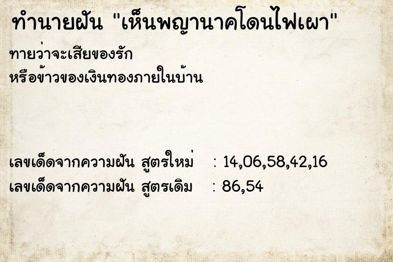 ทำนายฝัน เห็นพญานาคโดนไฟเผา ทำนายฝัน เห็นพญานาคโดนไฟเผา