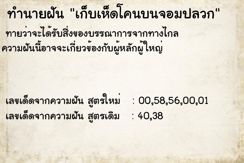 ทำนายฝัน เก็บเห็ดโคนบนจอมปลวก ทำนายฝัน เก็บเห็ดโคนบนจอมปลวก