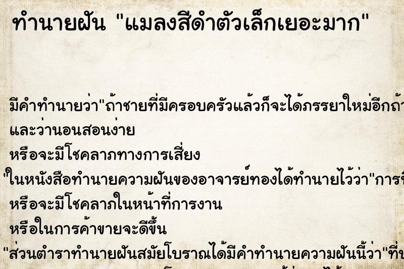 ทำนายฝันแมลงสีดำตัวเล็กเยอะมาก ทำนายฝันทำนายฝันแมลงสีดำตัวเล็กเยอะมาก