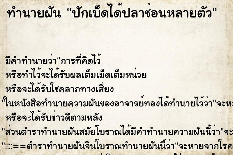 ทำนายฝัน ปักเบ็ดได้ปลาช่อนหลายตัว ทำนายฝัน ปักเบ็ดได้ปลาช่อนหลายตัว