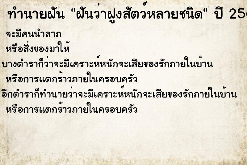 ทำนายฝันทำนายฝันฝันว่าฝูงสัตว์หลายชนิด