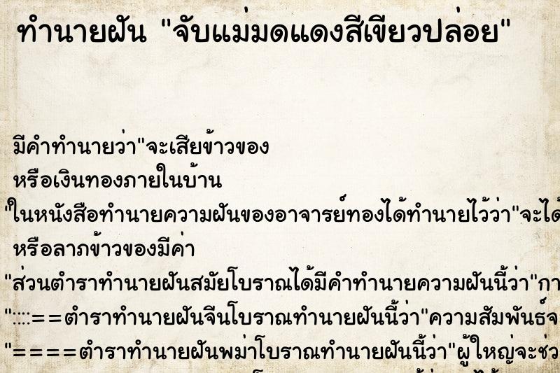 ทำนายฝันทำนายฝันจับแม่มดแดงสีเขียวปล่อย