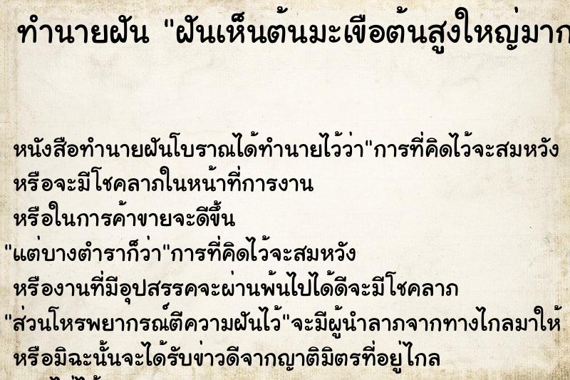 ทำนายฝันฝันเห็นต้นมะเขือต้นสูงใหญ่มาก ทำนายฝันทำนายฝันฝันเห็นต้นมะเขือต้นสูงใหญ่มาก