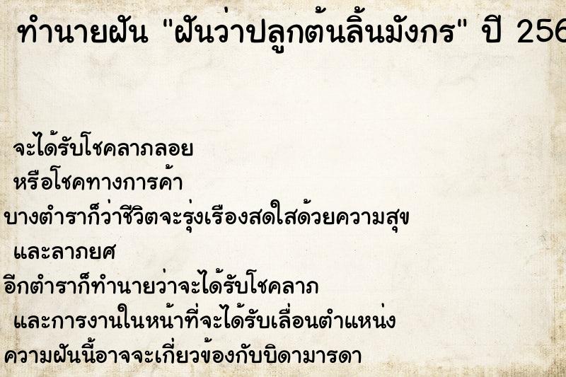 ทำนายฝัน ฝันว่าปลูกต้นลิ้นมังกร ทำนายฝัน ฝันว่าปลูกต้นลิ้นมังกร