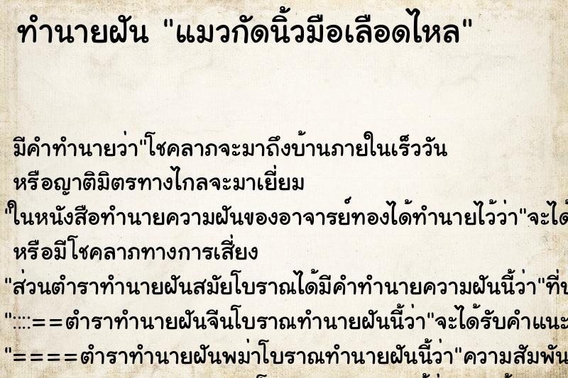 ทำนายฝัน แมวกัดนิ้วมือเลือดไหล ทำนายฝัน แมวกัดนิ้วมือเลือดไหล