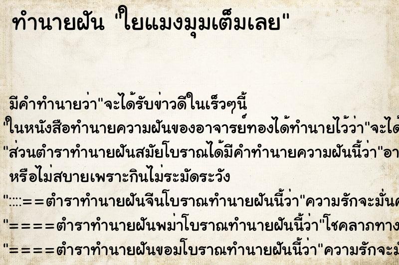 ทำนายฝัน ใยแมงมุมเต็มเลย ทำนายฝัน ใยแมงมุมเต็มเลย