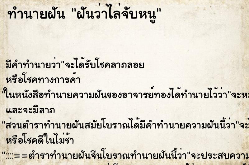 ทำนายฝัน ฝันว่าไล่จับหนู ทำนายฝัน ฝันว่าไล่จับหนู