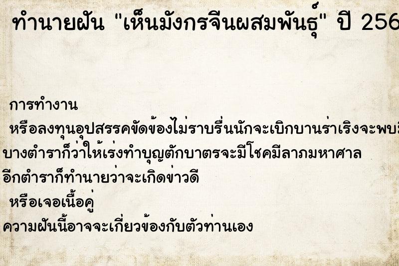 ทำนายฝันเห็นมังกรจีนผสมพันธุ์ ทำนายฝันทำนายฝันเห็นมังกรจีนผสมพันธุ์