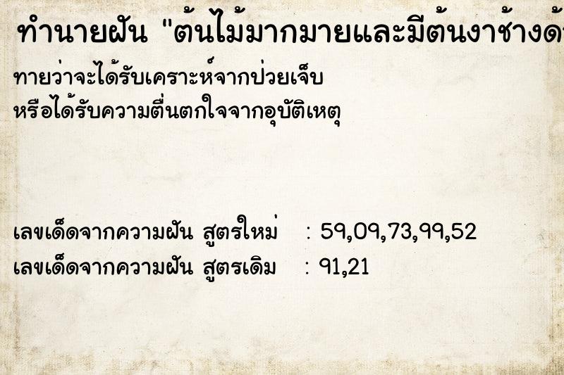 ทำนายฝันทำนายฝันต้นไม้มากมายและมีต้นงาช้างด้วย