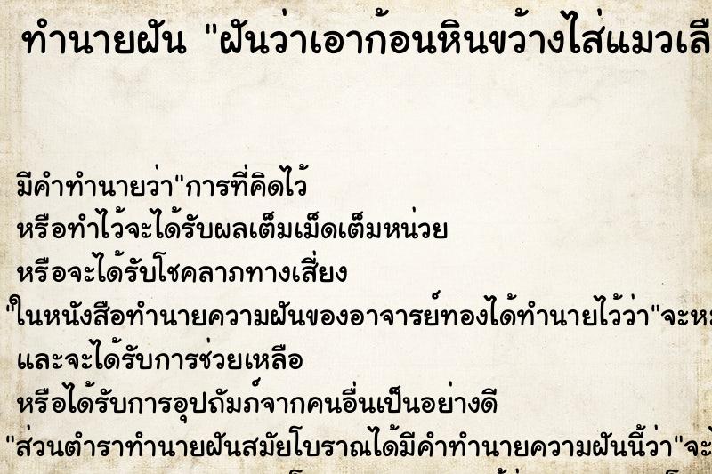 ทำนายฝันฝันว่าเอาก้อนหินขว้างไส่แมวเลือดไหลเต็มตัว ทำนายฝันทำนายฝันฝันว่าเอาก้อนหินขว้างไส่แมวเลือดไหลเต็มตัว