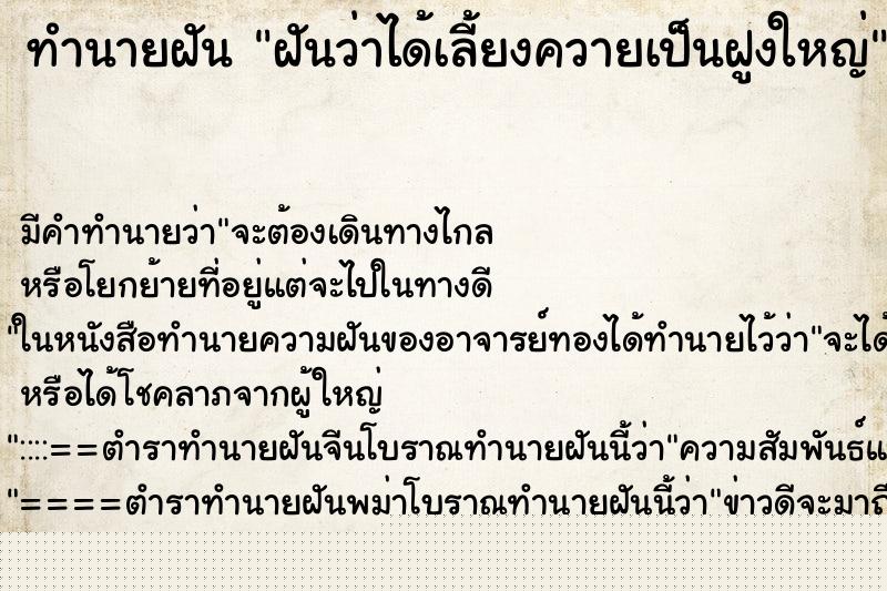 ทำนายฝัน ฝันว่าได้เลี้ยงควายเป็นฝูงใหญ่ ทำนายฝัน ฝันว่าได้เลี้ยงควายเป็นฝูงใหญ่