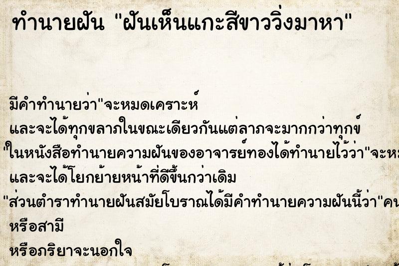 ทำนายฝัน ฝันเห็นแกะสีขาววิ่งมาหา ทำนายฝัน ฝันเห็นแกะสีขาววิ่งมาหา