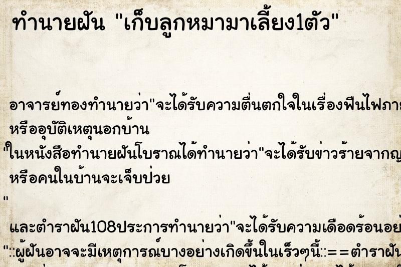 ทำนายฝัน เก็บลูกหมามาเลี้ยง1ตัว