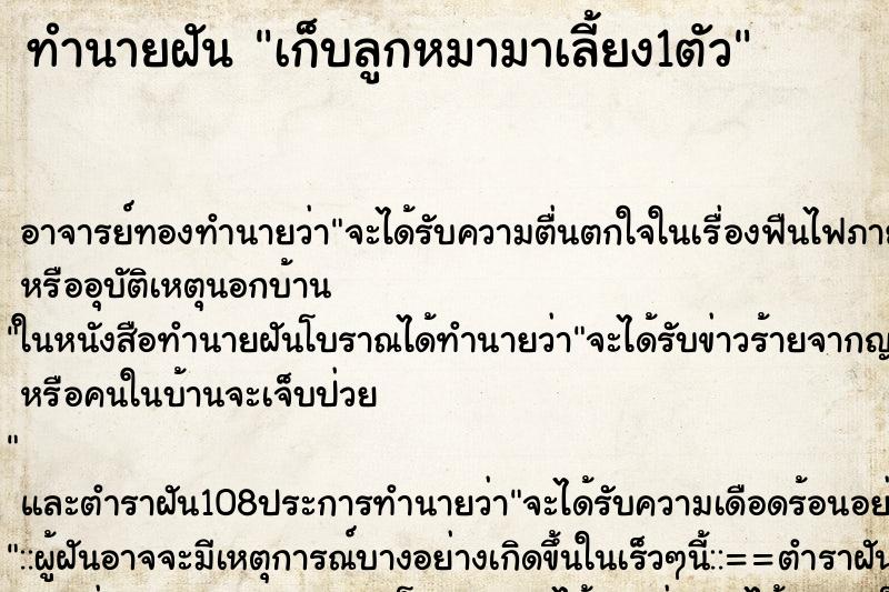 ทำนายฝัน เก็บลูกหมามาเลี้ยง1ตัว ตำราโบราณ แม่นที่สุดในโลก