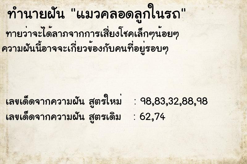 ทำนายฝัน แมวคลอดลูกในรถ ทำนายฝัน แมวคลอดลูกในรถ