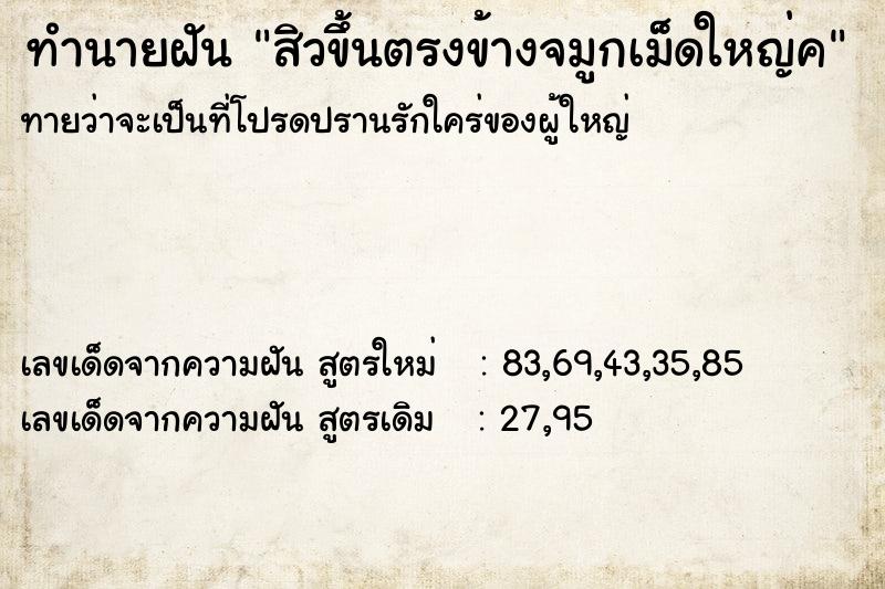 ทำนายฝันทำนายฝันสิวขึ้นตรงข้างจมูกเม็ดใหญ่ค