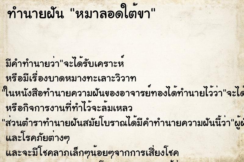 ทำนายฝันหมาลอดใต้ขา ทำนายฝันทำนายฝันหมาลอดใต้ขา