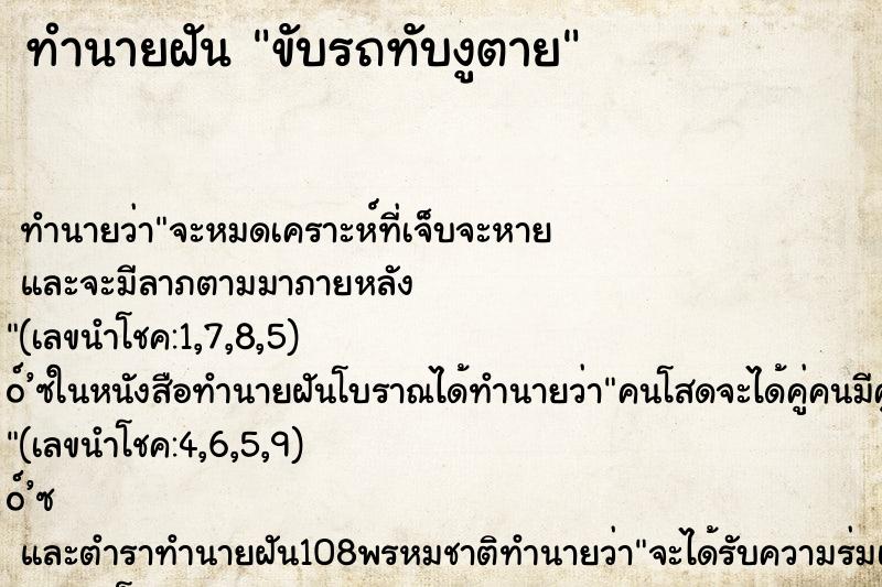 ทำนายฝันทำนายฝันขับรถทับงูตาย