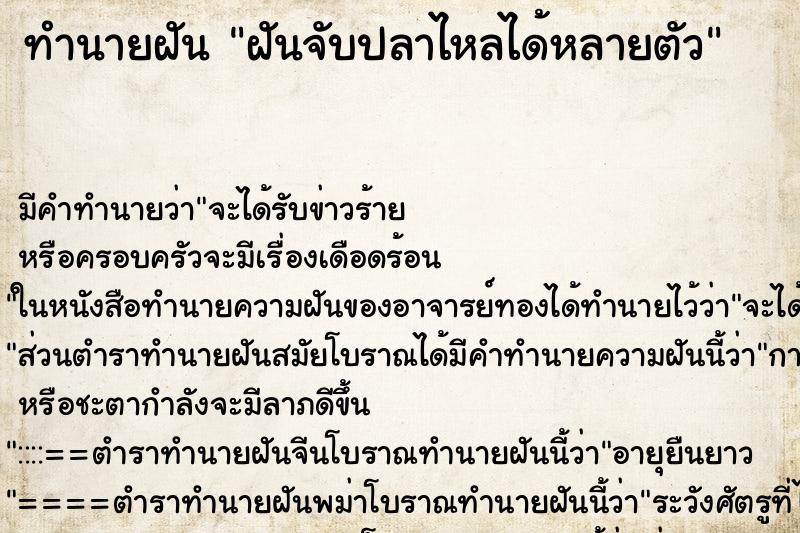 ทำนายฝัน ฝันจับปลาไหลได้หลายตัว ตำราโบราณ แม่นที่สุดในโลก