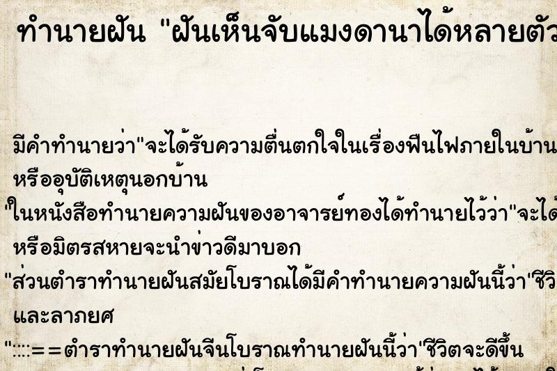 ทำนายฝันฝันเห็นจับแมงดานาได้หลายตัว ทำนายฝันทำนายฝันฝันเห็นจับแมงดานาได้หลายตัว
