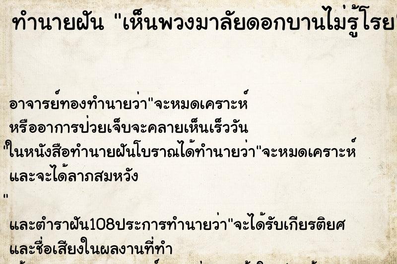 ทำนายฝันเห็นพวงมาลัยดอกบานไม่รู้โรย ทำนายฝันทำนายฝันเห็นพวงมาลัยดอกบานไม่รู้โรย
