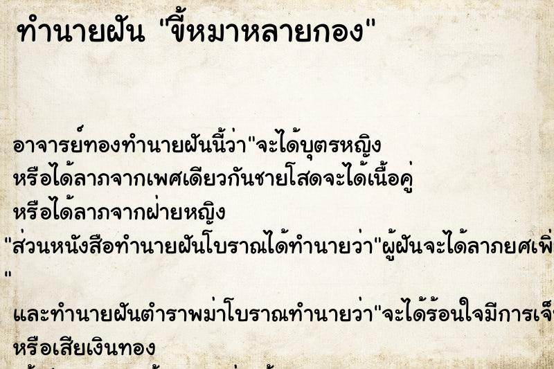 ทำนายฝัน ขี้หมาหลายกอง ทำนายฝัน ขี้หมาหลายกอง