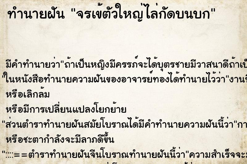 ทำนายฝันจรเข้ตัวใหญ่ไล่กัดบนบก ทำนายฝันทำนายฝันจรเข้ตัวใหญ่ไล่กัดบนบก