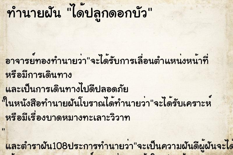 ทำนายฝัน ได้ปลูกดอกบัว ตำราโบราณ แม่นที่สุดในโลก