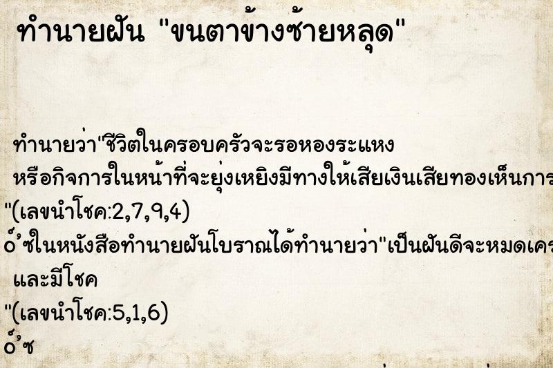 ทำนายฝัน ขนตาข้างซ้ายหลุด ทำนายฝัน ขนตาข้างซ้ายหลุด
